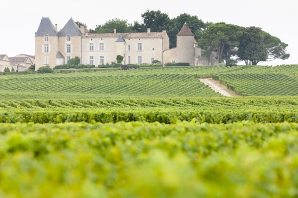 Sauternes Vinifikation © PHB.cz - Fotolia.com