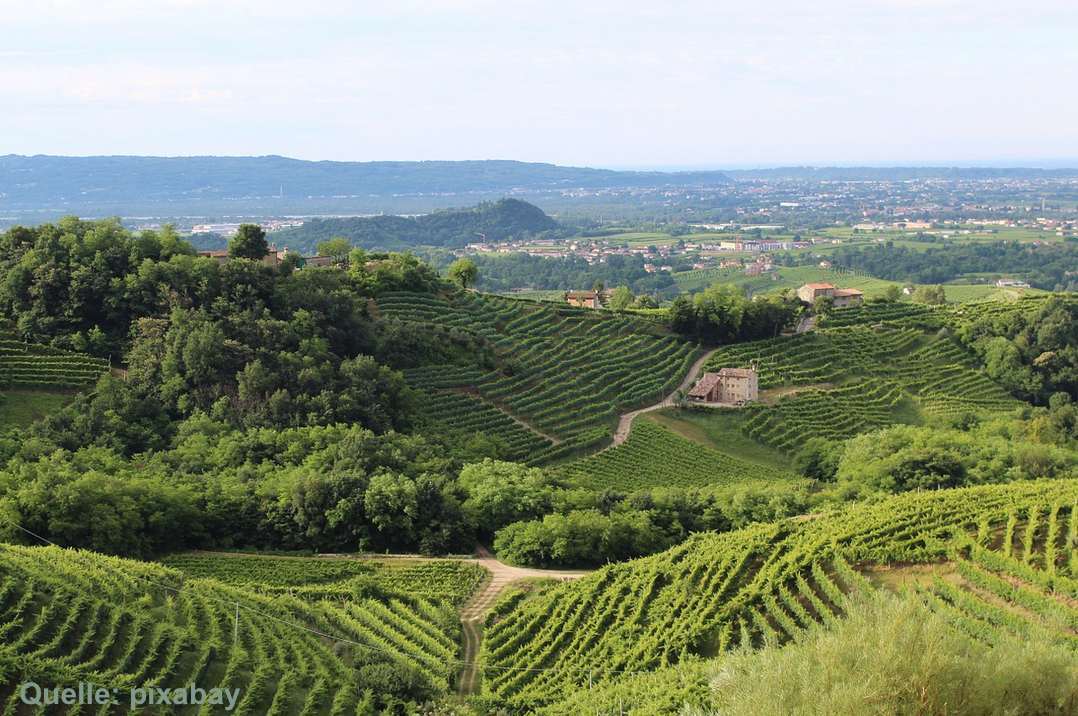 Veneto – Moscato – Schäumende süße dem Weine aus über Süße Alles